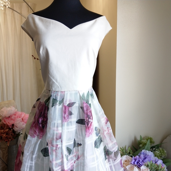 🍒NWT🍒 TED BAKER BARDOT DRESS - Picture 3 of 15